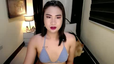 yesha fox online show from April 24, 2026, 12:07 pm