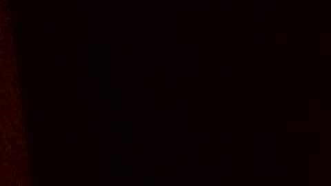 Snapshot of huidos2006 chatting on February 17, 2026, 8:44 am huidos2006 online show from February 17, 2026, 8:44 am