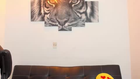 Eli online show from February 20, 2026, 2:30 am