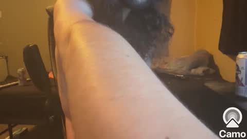 Snapshot of hunghippyboi chatting on February 17, 2026, 4:53 am hunghippyboi online show from February 17, 2026, 4:53 am