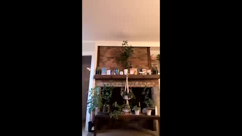 Snapshot of hungitalian40 chatting on January 15, 2026, 1:26 pm hungitalian40 online show from January 15, 2026, 1:26 pm