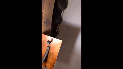 Snapshot of hungitalian40 chatting on February 12, 2026, 9:37 am hungitalian40 online show from February 12, 2026, 9:37 am