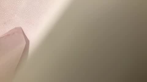 Frednvelma online show from November 16, 2025, 6:46 pm