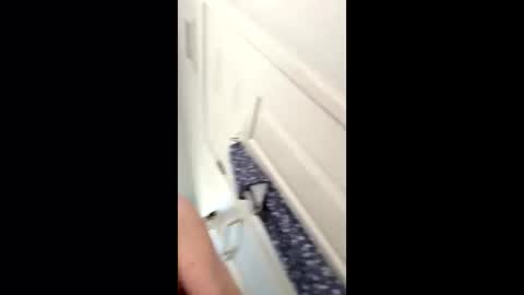 huskey300 online show from January 9, 2026, 4:32 pm