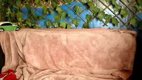 Kayla online show from December 21, 2024, 4:30 am