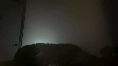 hustlemacc online show from November 16, 2025, 2:11 pm