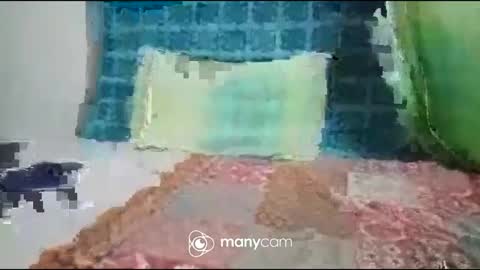 JP online show from September 27, 2025, 7:19 pm