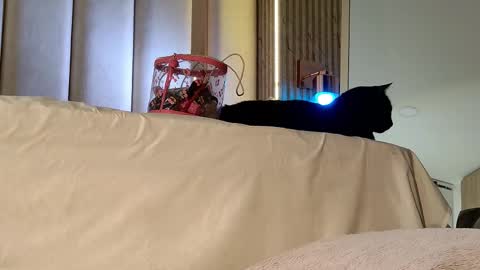 Nyxy online show from November 20, 2025, 10:04 am