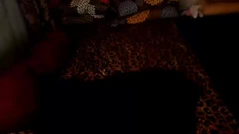 MADAM  MISTRESS ASIANA online show from December 26, 2024, 2:27 pm