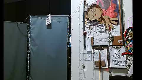 PMS online show from December 31, 2024, 11:42 am