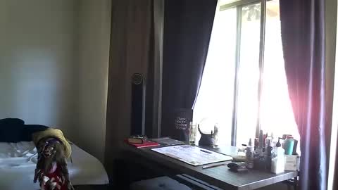 PMS online show from October 13, 2025, 3:45 pm