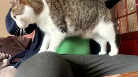 icums4u online show from March 24, 2026, 2:33 pm