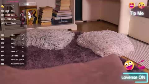 Little Flower online show from September 17, 2025, 3:46 pm