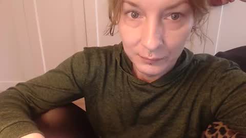 Ifk Donkeys online show from November 14, 2025, 12:15 pm