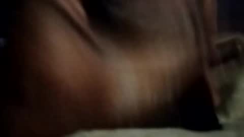 ihktqjtwzczh online show from February 27, 2026, 12:05 pm