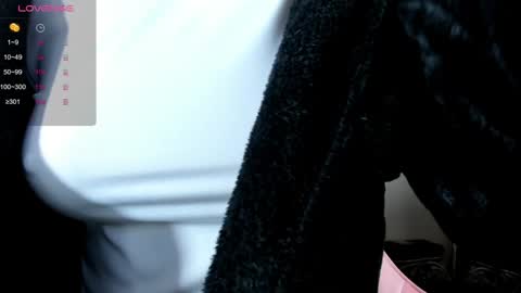 illegal_lorry online show from December 30, 2024, 4:53 am