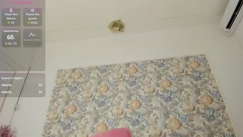 illegal_lorry online show from January 10, 2026, 6:04 am