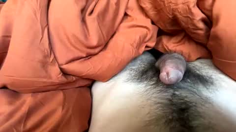 imakeucumonmyface online show from February 25, 2026, 9:24 pm