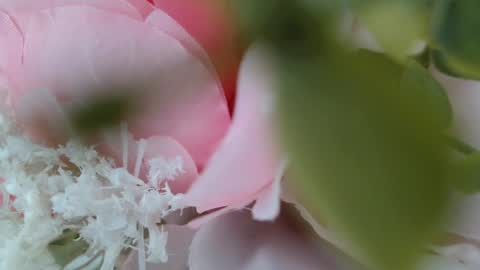 Carrie online show from February 22, 2025, 5:24 pm