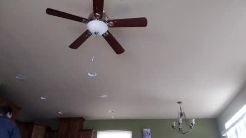 Iminyourroom online show from January 31, 2025, 8:22 pm