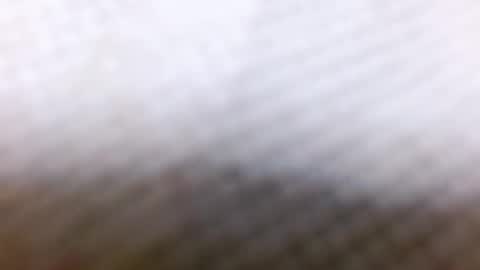 tracy online show from December 28, 2024, 8:58 am