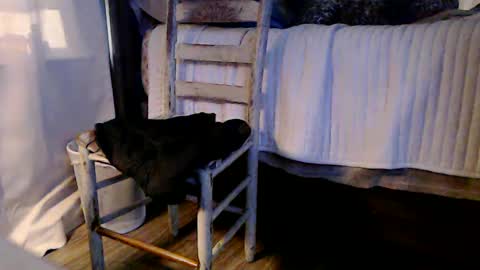 indicasonly online show from January 4, 2025, 1:53 pm