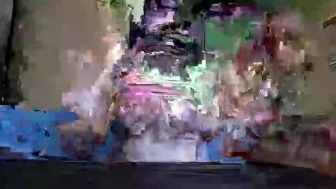Inez online show from June 6, 2026, 7:29 pm