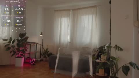 Xenia online show from February 3, 2025, 12:25 pm