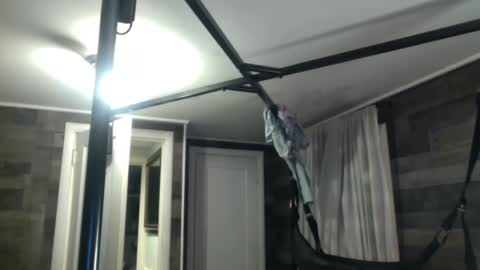 InMyBackyard online show from January 8, 2025, 10:06 pm