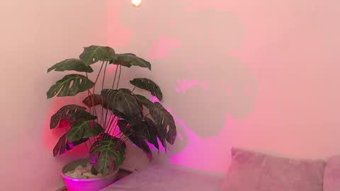 Iirs online show from April 18, 2026, 9:04 pm