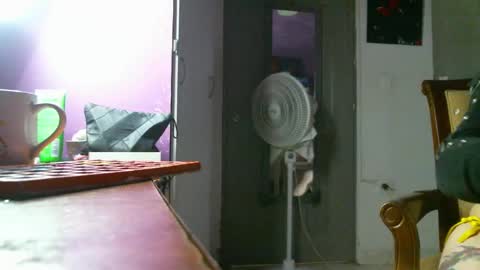 Snapshot of irisbell_ chatting on December 22, 2024, 1:55 pm Camilla online show from December 22, 2024, 1:55 pm