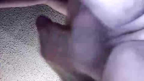 McDick online show from March 30, 2026, 5:41 am