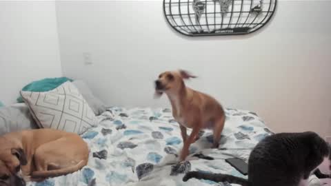 Isa online show from December 27, 2024, 5:52 am