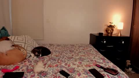 Isa online show from October 31, 2025, 10:00 pm