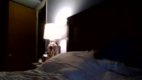 youngking online show from March 5, 2026, 10:17 pm