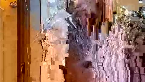 ItsFoxie online show from January 18, 2026, 4:49 am