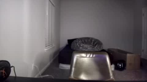 TARZAN online show from December 10, 2024, 6:33 am