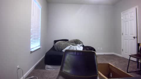 TARZAN online show from December 13, 2024, 6:49 pm