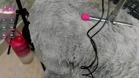 Ivis  online show from April 19, 2026, 1:43 pm