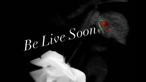 Ivy Rosie online show from February 16, 2026, 3:08 pm