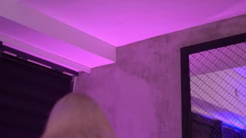 IvyRowa online show from November 8, 2025, 6:51 pm