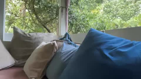 ivysagex online show from September 12, 2025, 1:17 am