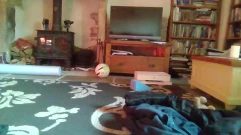 J4ckcock online show from November 16, 2025, 9:48 am