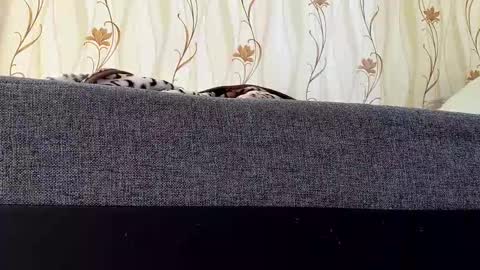 jaaaaanek2 online show from April 21, 2026, 6:52 am