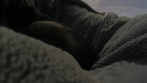 jackad44 online show from October 17, 2025, 6:32 pm