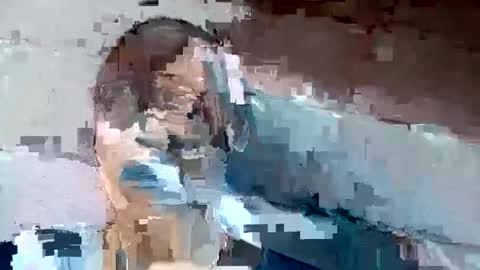 jackie petit online show from December 2, 2024, 1:24 pm