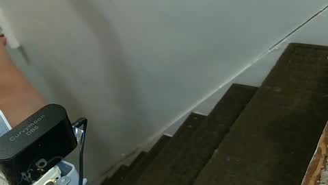 funtimes49203 online show from October 21, 2025, 3:51 am