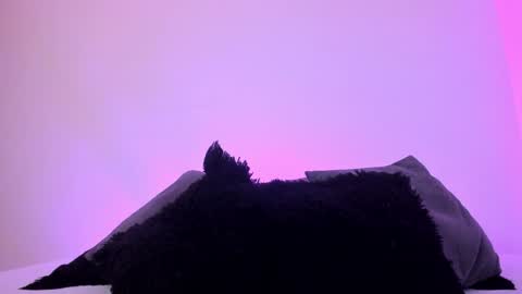 Mady online show from December 20, 2024, 1:14 am