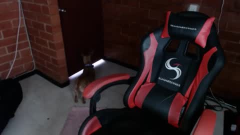 Snapshot of jadesexfun chatting on March 12, 2025, 2:45 pm jadesexfun online show from March 12, 2025, 2:45 pm