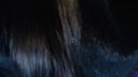 Snapshot of jalea_real_69 chatting on July 19, 2026, 6:50 am jalea_real_69 online show from July 19, 2026, 6:50 am